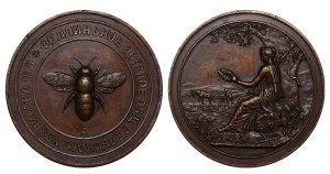 Russian Empire, Table medal, Fellin Estonian Agricultural Society, 1871 year