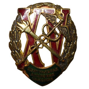 Soviet Union, Central Excise and Customs - XV years, Badge