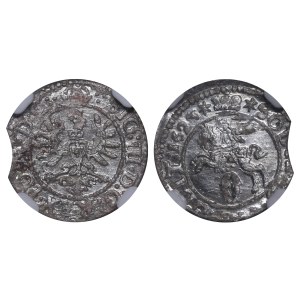 Polish-Lithuanian Commonwealth, 1 Schilling, 1623 year, NGC, MS 61