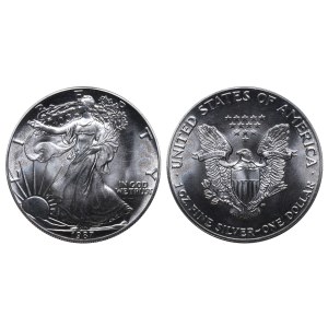 United States, 1 Dollar, 1987 year, American Silver Eagle