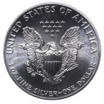 United States, 1 Dollar, 1989 year, American Silver Eagle