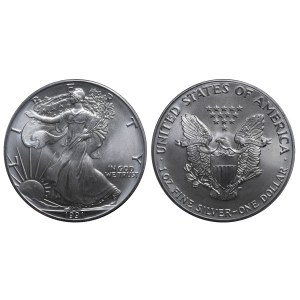 United States, 1 Dollar, 1991 year, American Silver Eagle
