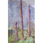 Trees in the Tatra Mountains /sygn./ Zakopane 1923.