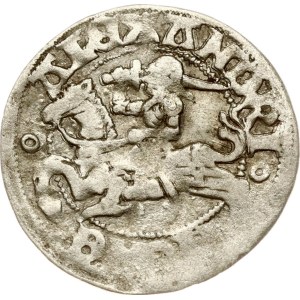 Lithuania Polgrosz ND (1492-1506) Vilnius