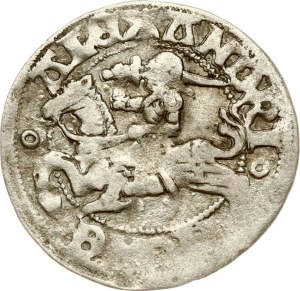 Lithuania Polgrosz ND (1492-1506) Vilnius