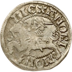 Lithuania Polgrosz ND (1492-1506) Vilnius LITVANIEo
