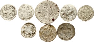 Lithuania Denar - Polgrosz 1501-1611 Lot of 8 coins