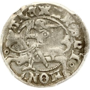 Litauen Polgrosz ND (1495-1506) Vilnius PCGS XF 40