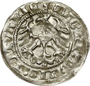 Lithuania Polgrosz 1513 Vilnius