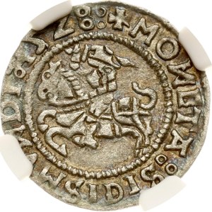 Lithuania Polgrosz 1528 Vilnius (R) NGC AU Details