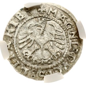 Lithuania Polgrosz 1528 Vilnius (R) NGC AU Details