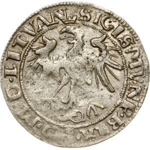 Lithuania Grosz 1536 I Vilnius
