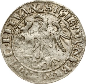 Lithuania Grosz 1536 I Vilnius