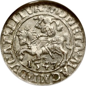 Lithuania Polgrosz 1547 Vilnius NGC MS 61