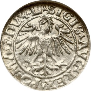 Lithuania Polgrosz 1547 Vilnius NGC MS 61