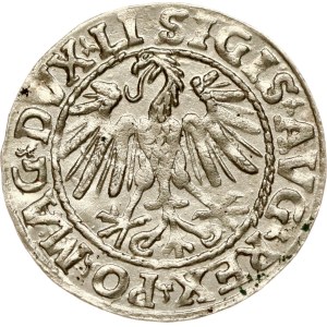 Lithuania Polgrosz 1547 Vilnius