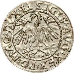 Lithuania Polgrosz 1547 Vilnius