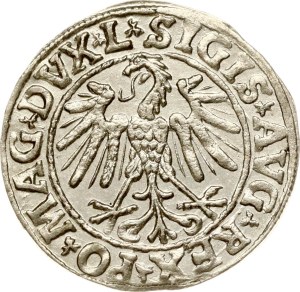 Lithuania Polgrosz 1547 Vilnius