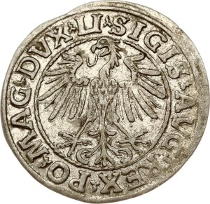 Lithuania Polgrosz 1547 Vilnius
