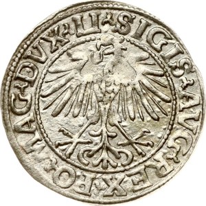 Lithuania Polgrosz 1548 Vilnius