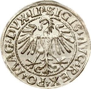 Lithuania Polgrosz 1548 Vilnius