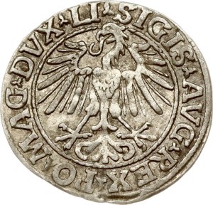 Lithuania Polgrosz 1548 Vilnius