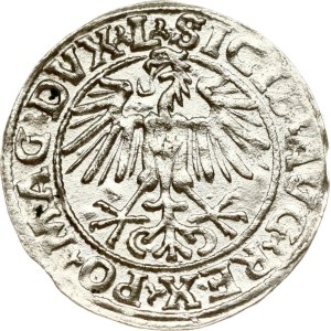 Lithuania Polgrosz 1549 Vilnius