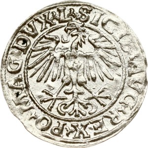 Lithuania Polgrosz 1549 Vilnius