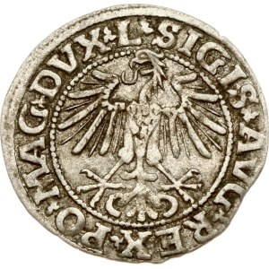 Lithuania Polgrosz 1549 Vilnius (R)