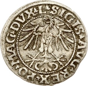 Lithuania Polgrosz 1549 Vilnius (R)