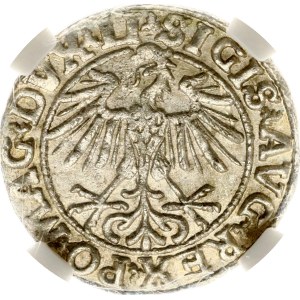 Lithuania Polgrosz 1550 Vilnius NGC MS 63