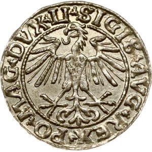 Lithuania Polgrosz 1550 Vilnius