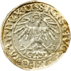 Lithuania Polgrosz 1551 Vilnius (R) PCGS MS 62