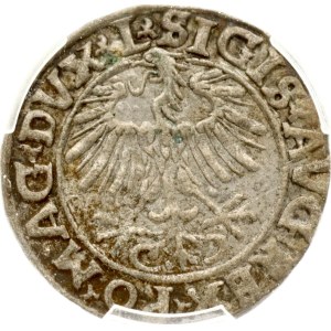 Lithuania Polgrosz 1556 Vilnius PCGS MS 62