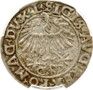 Lithuania Polgrosz 1556 Vilnius PCGS MS 62