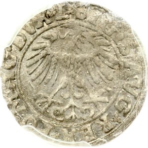 Lithuania Polgrosz 1557 Vilnius PCGS AU 58