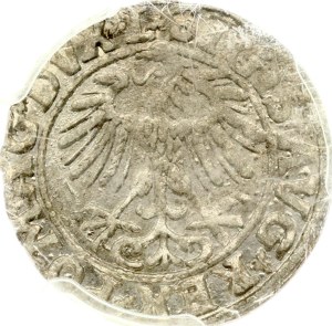 Lithuania Polgrosz 1557 Vilnius PCGS AU 58
