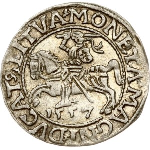 Lithuania Polgrosz 1557 Vilnius