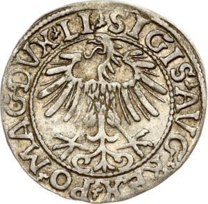 Lithuania Polgrosz 1557 Vilnius