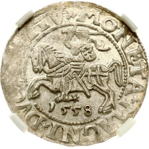 Lithuania Polgrosz 1558 Vilnius NGC MS 62
