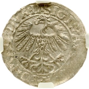 Lithuania Polgrosz 1558 Vilnius NGC MS 62