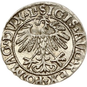 Lithuania Polgrosz 1558 Vilnius