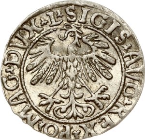 Lithuania Polgrosz 1558 Vilnius