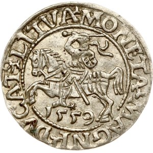 Lithuania Polgrosz 1559 Vilnius