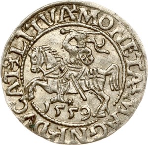 Lithuania Polgrosz 1559 Vilnius