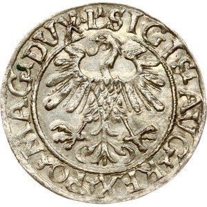 Lithuania Polgrosz 1559 Vilnius
