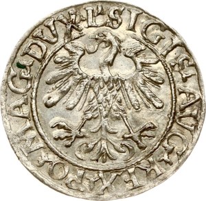 Lithuania Polgrosz 1559 Vilnius