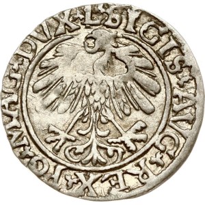 Lithuania Polgrosz 1559 Vilnius (RR)