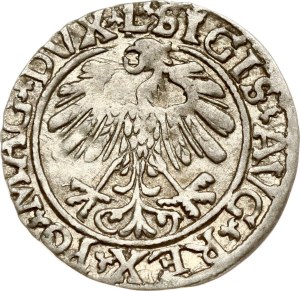 Lithuania Polgrosz 1559 Vilnius (RR)