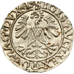 Lithuania Polgrosz 1560 Vilnius